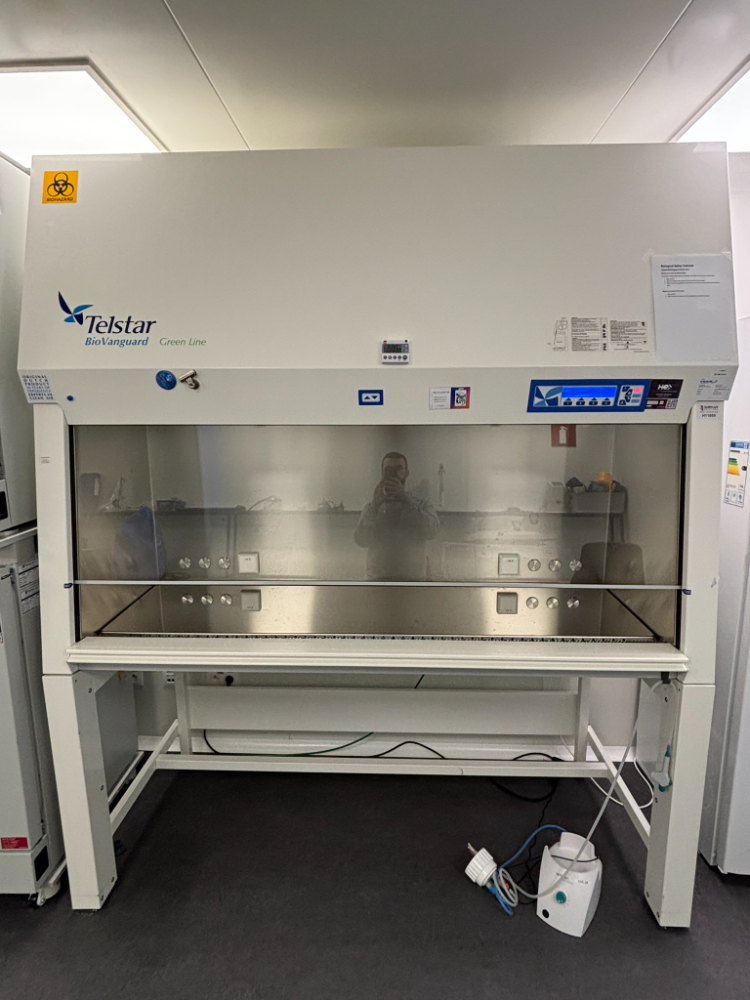 Image of Telstar BioVanguard Greeline Safety Cabinet